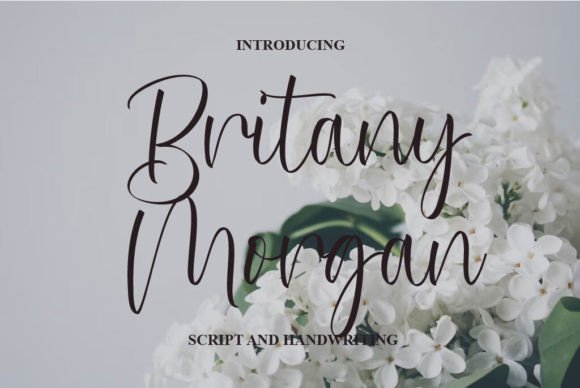 Britany Morgan Font: Elegant Script for Designers