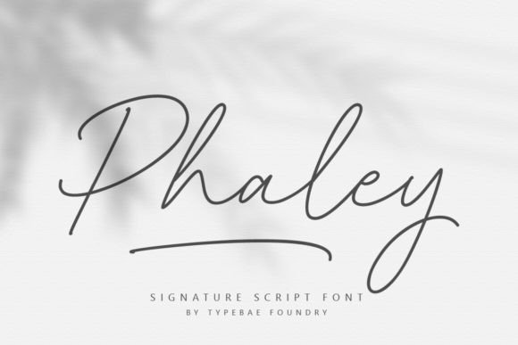 Phaley Font: Elegant Script for Digital Design