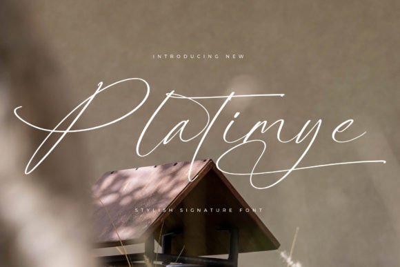 Platimye Font for Elegant Designs