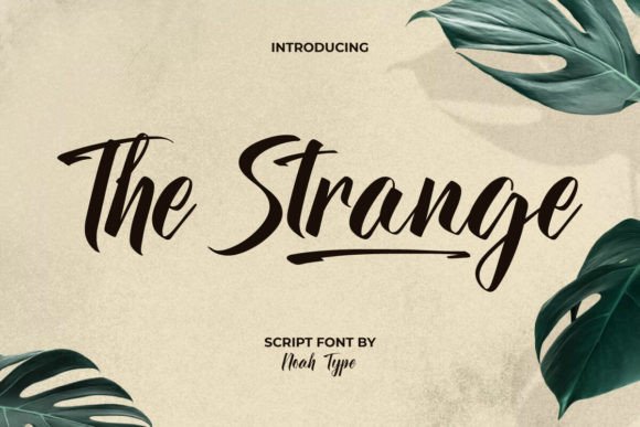 The Strange Font for Stylish Web Design