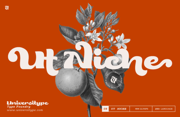 Ut Niche: A Font That Elevates Branding